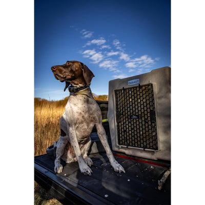 Dakota 283 Canine Rough and Tough Economy Pet Kennel, Large, (Open Box)