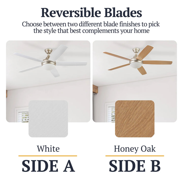 Prominence Home 52" Modern Ceiling Fan, Light, Remote Control, Gold (Open Box)