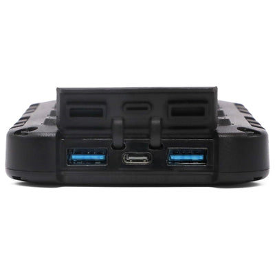 Lion Energy Lion Cub Portable Power Bank with Built-In 50 Lumens Floodlight
