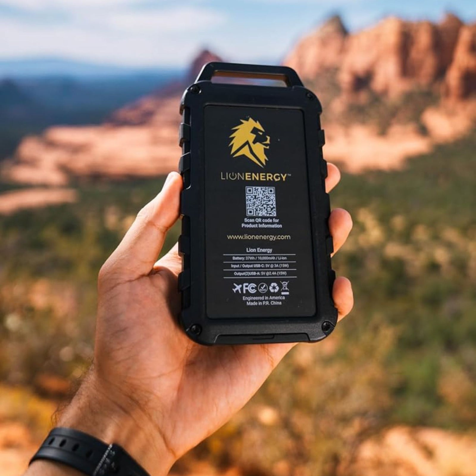 Lion Energy Lion Cub Portable Power Bank with Built-In 50 Lumens Floodlight - VMInnovations