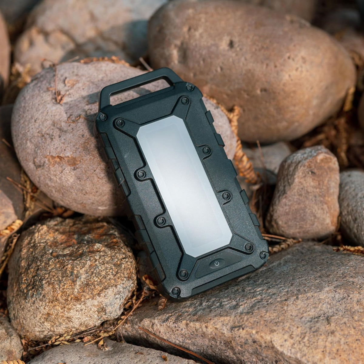 Lion Energy Lion Cub Portable Power Bank with Built-In 50 Lumens Floodlight