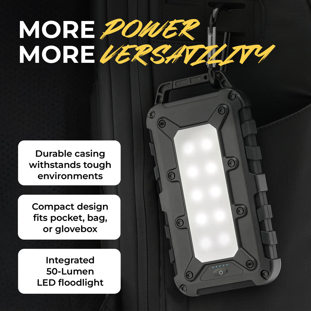 Lion Energy Lion Cub Portable Power Bank with Built-In 50 Lumens Floodlight