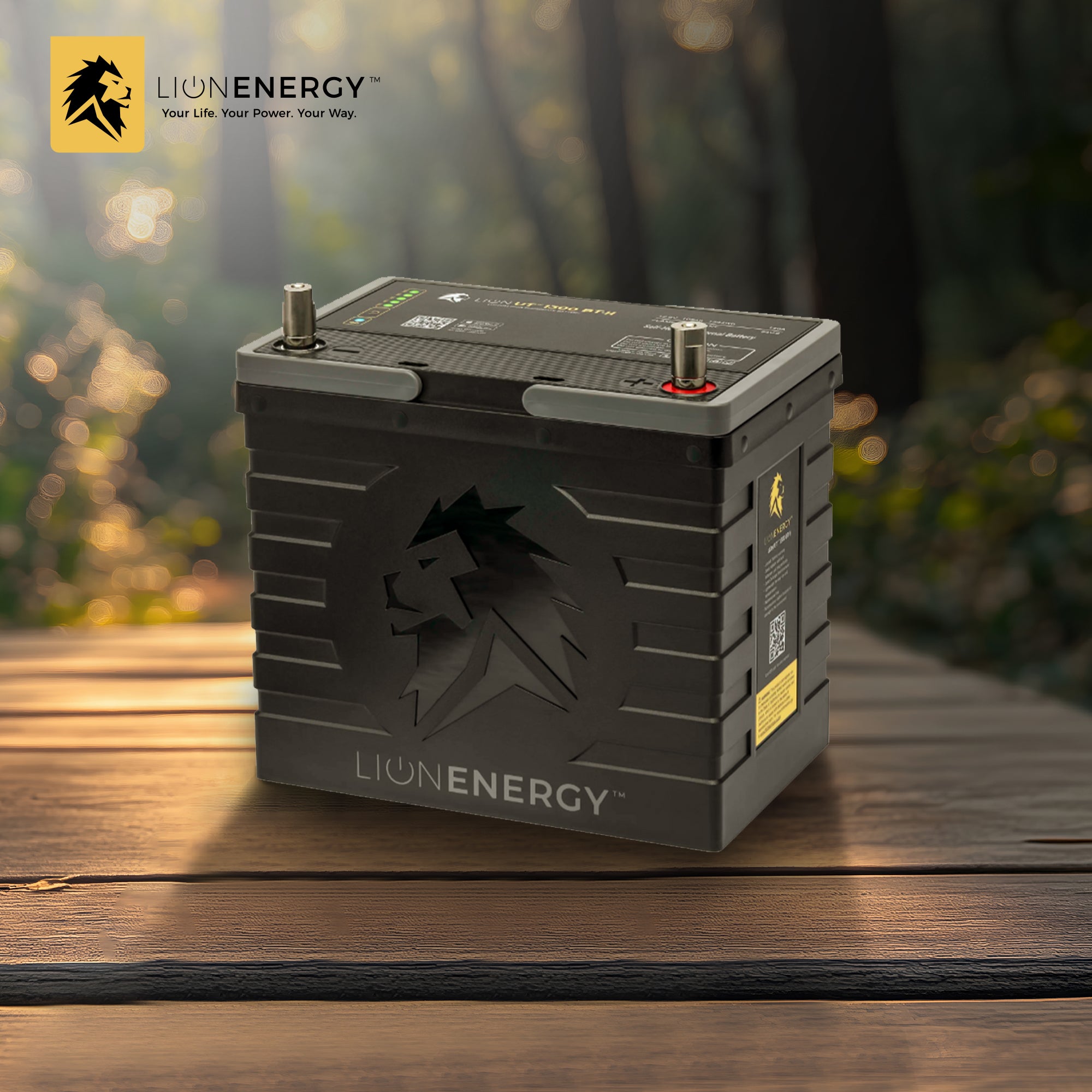 Lion Energy Lithium Rechargeable Deep Cycle Battery, Bluetooth, Black (Open Box) - VMInnovations
