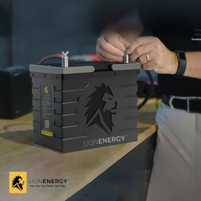 Lion Energy Lithium Rechargeable Deep Cycle Battery, Bluetooth, Black (Open Box) - VMInnovations