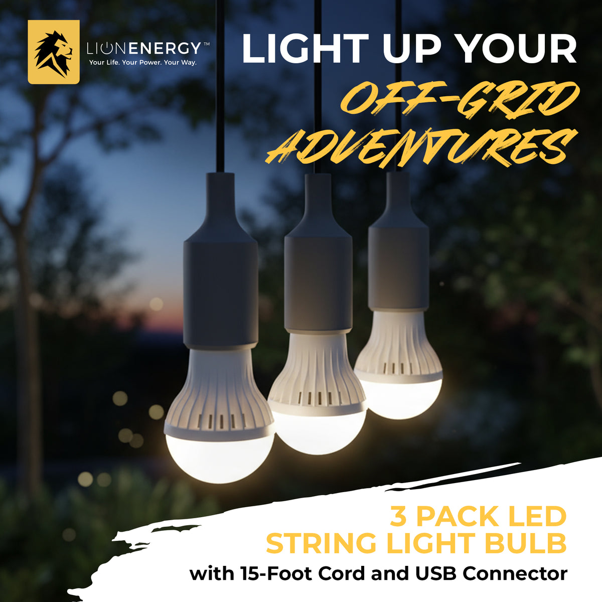Lion Energy 3 Pack LED String Light Bulb with 15-Foot Cord and USB Connector