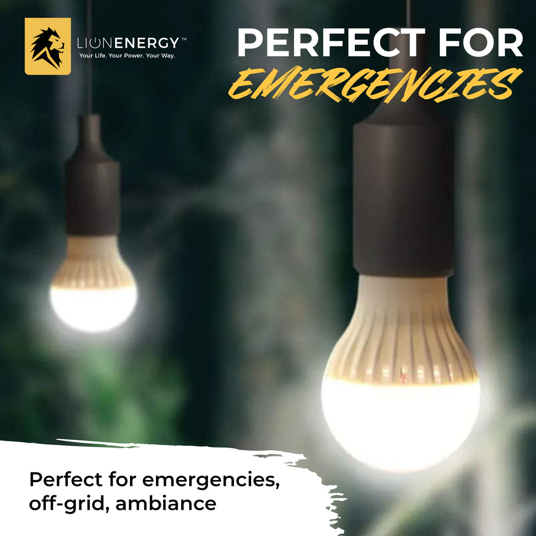 Lion Energy 3 Pack LED String Light Bulb with 15-Foot Cord and USB Connector