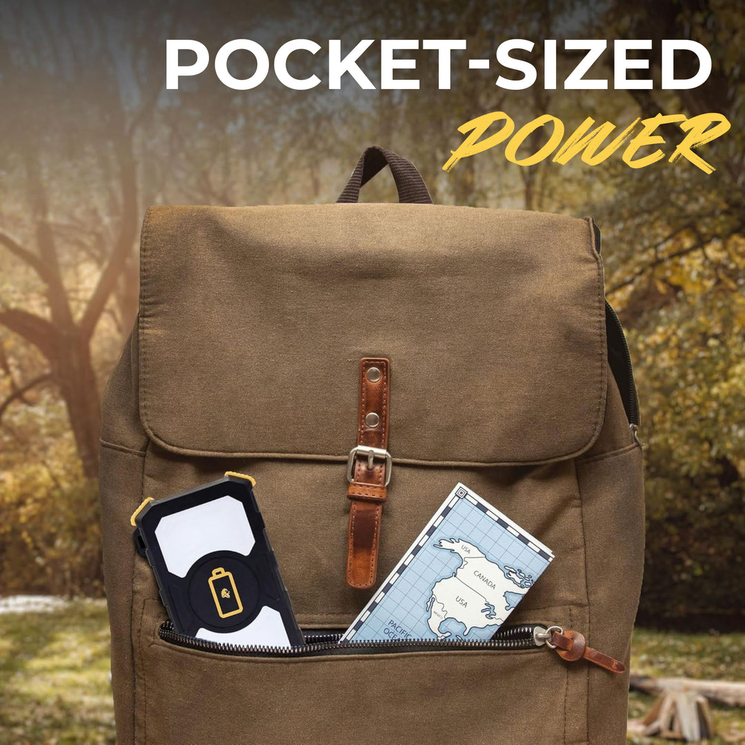 Lion Energy Prowler Power Bank, Portable Wireless Phone Charger with Flashlight - VMInnovations