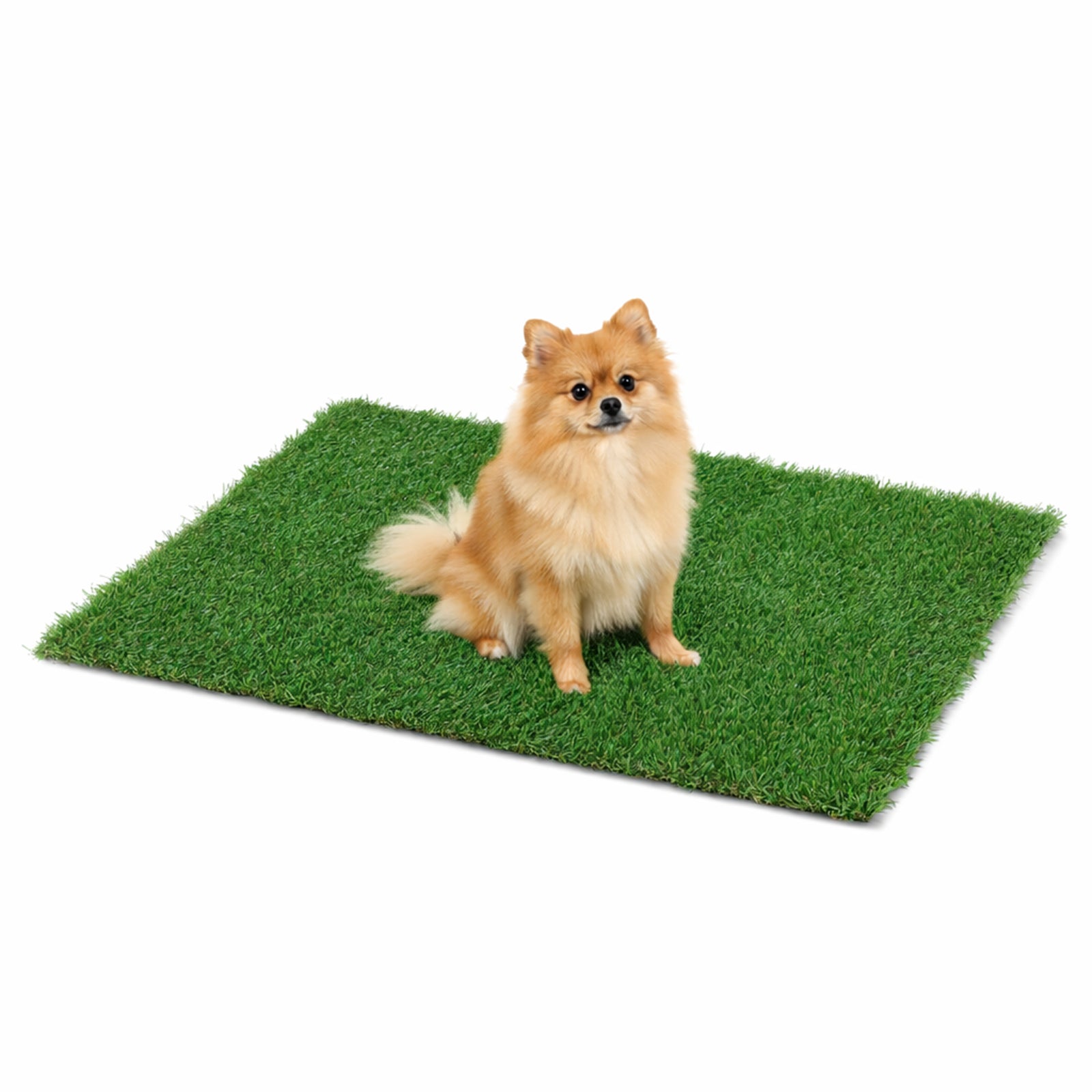 Bliss Artificial Grass, Dog Potty Train Mat, Easy Clean Drainage, 39.4" x 31.5" - VMInnovations