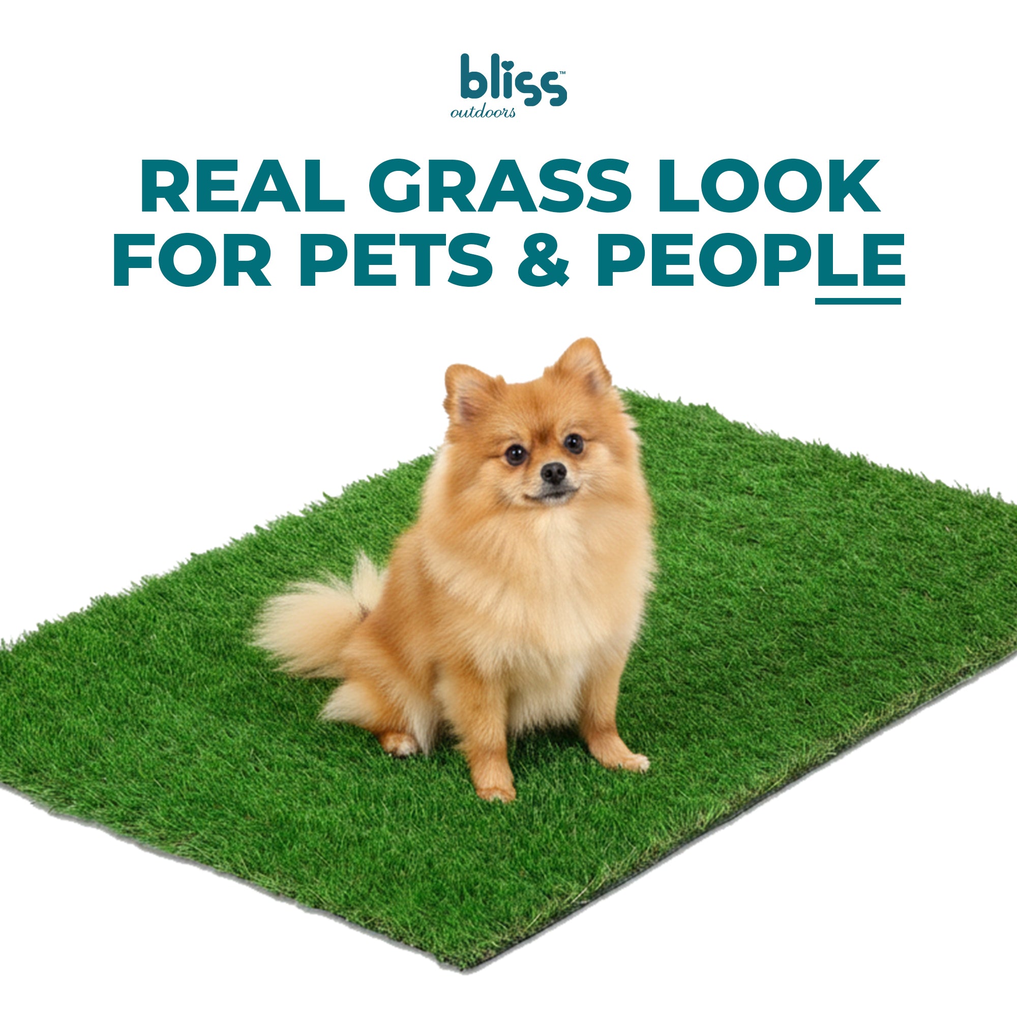 Bliss Artificial Grass, Dog Potty Train Mat, Easy Clean Drainage, 39.4" x 31.5" - VMInnovations