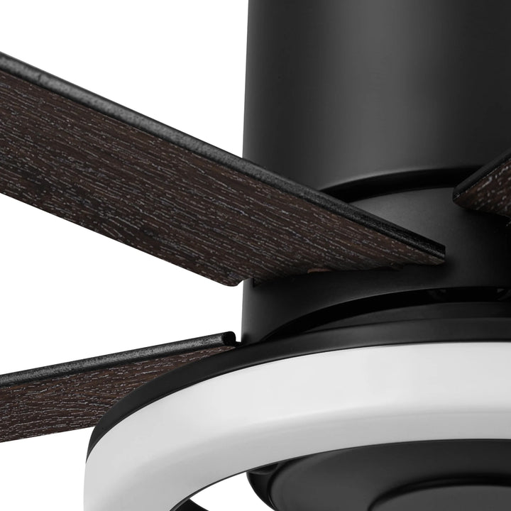 Honeywell Graceshire 52 Inch Ceiling Fan with Ring Light and Remote, Matte Black