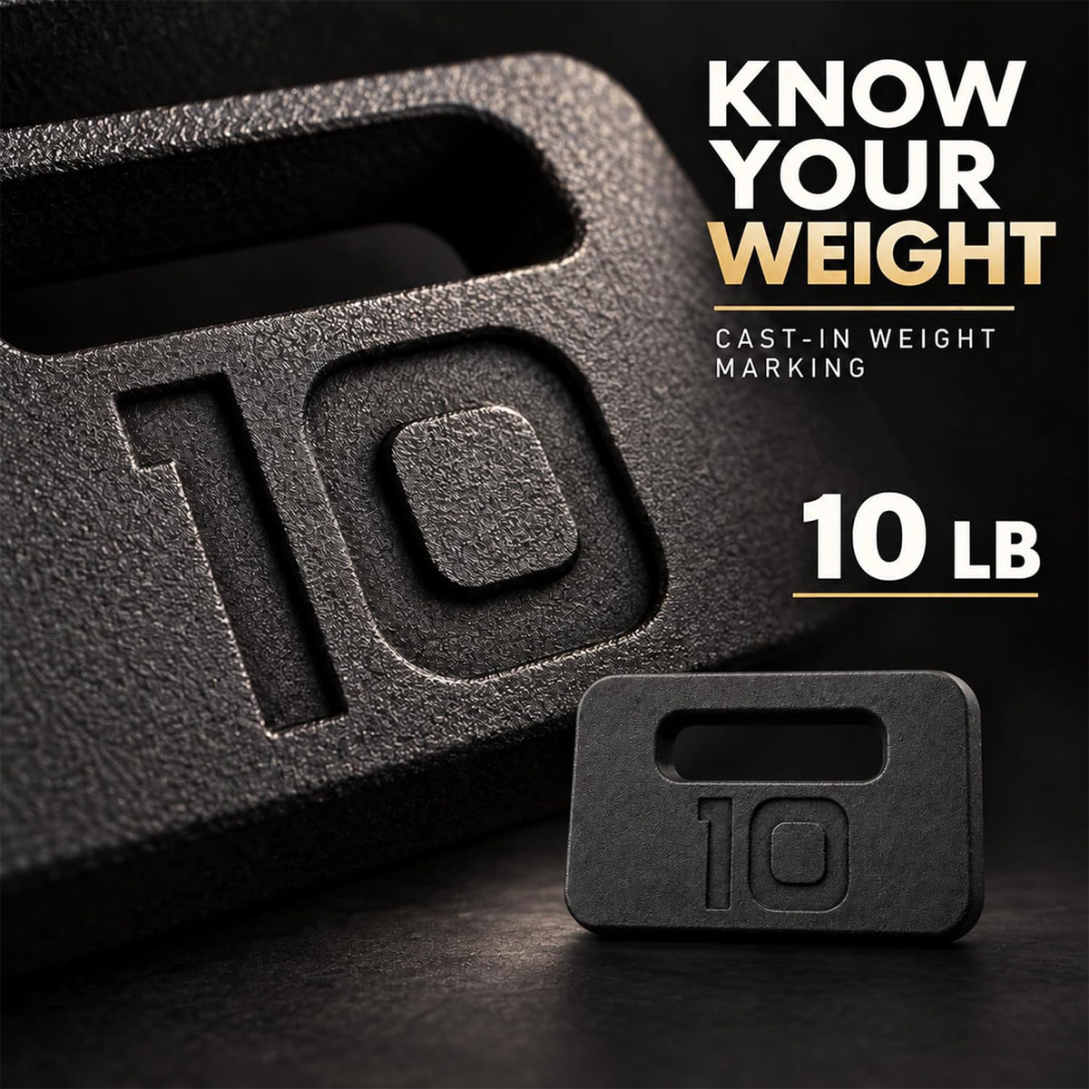 Fitvids 10 lb Ruck Weight Plate, Cast Iron Training Weight for Strength Training