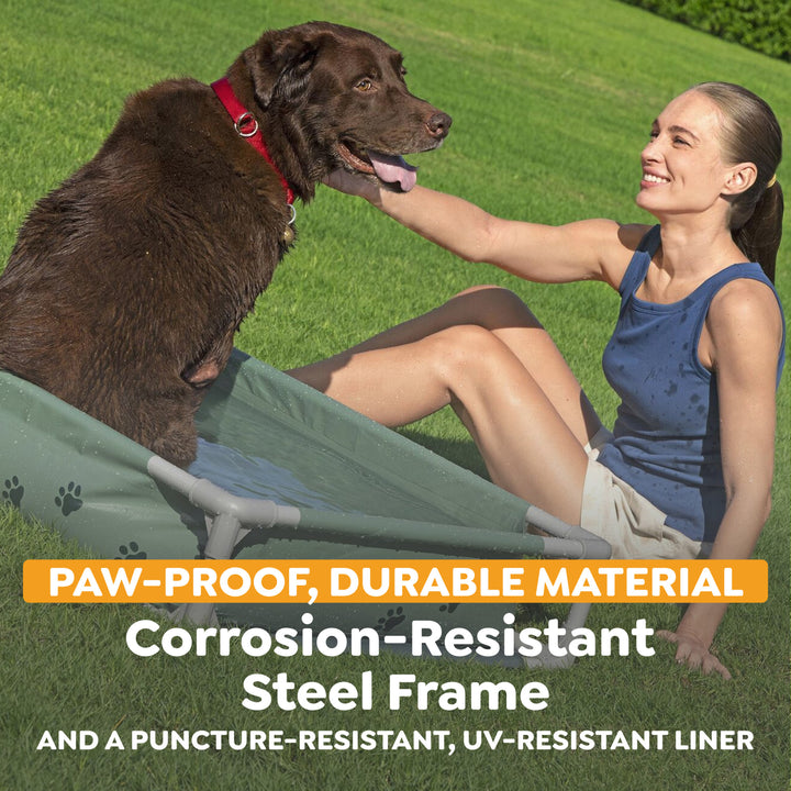 H2OGO! Pet Play Pool & Elevated Bed, Fetchin' Fun Splash Pool & Bed for Dogs - VMInnovations