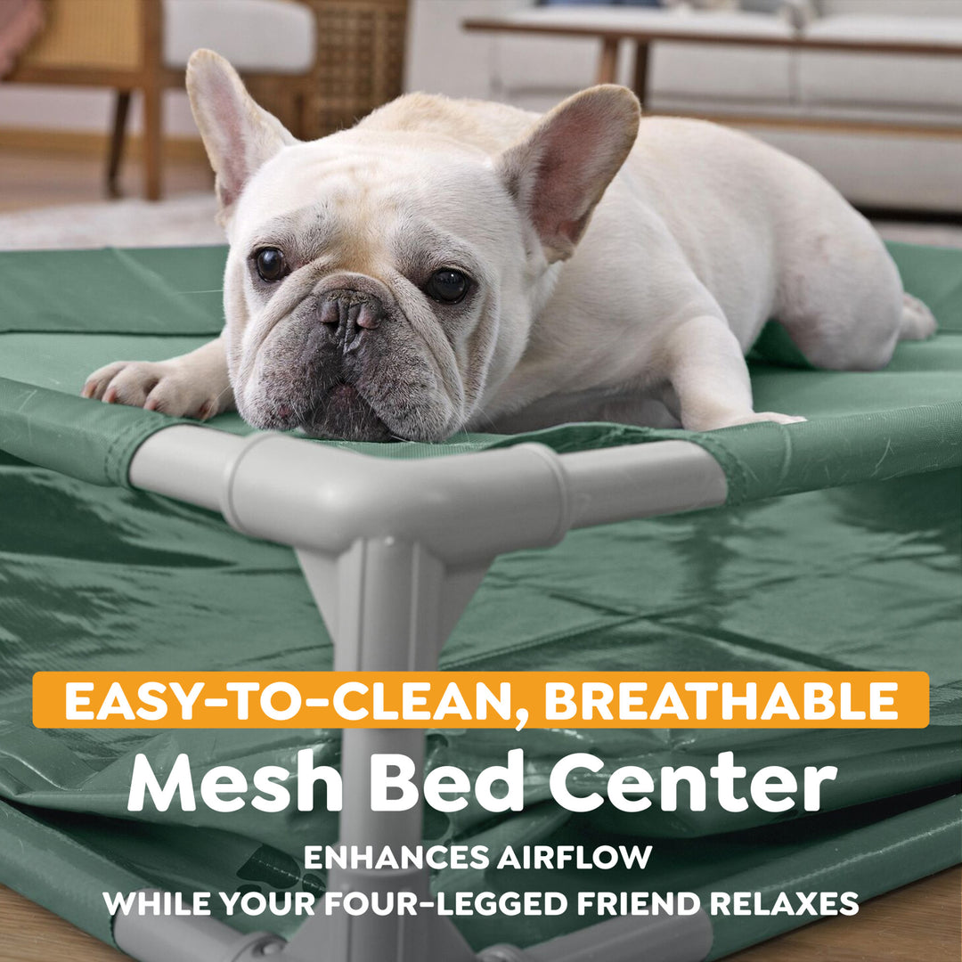 H2OGO! Pet Play Pool & Elevated Bed, Fetchin' Fun Splash Pool & Bed for Dogs - VMInnovations