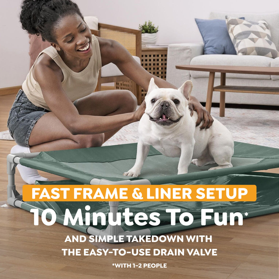 H2OGO! Pet Play Pool & Elevated Bed, Fetchin' Fun Splash Pool & Bed for Dogs - VMInnovations