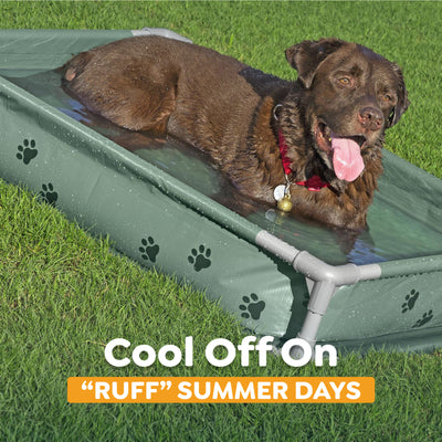 H2OGO! Pet Play Pool & Elevated Bed, Fetchin' Fun Splash Pool & Bed (Open Box)