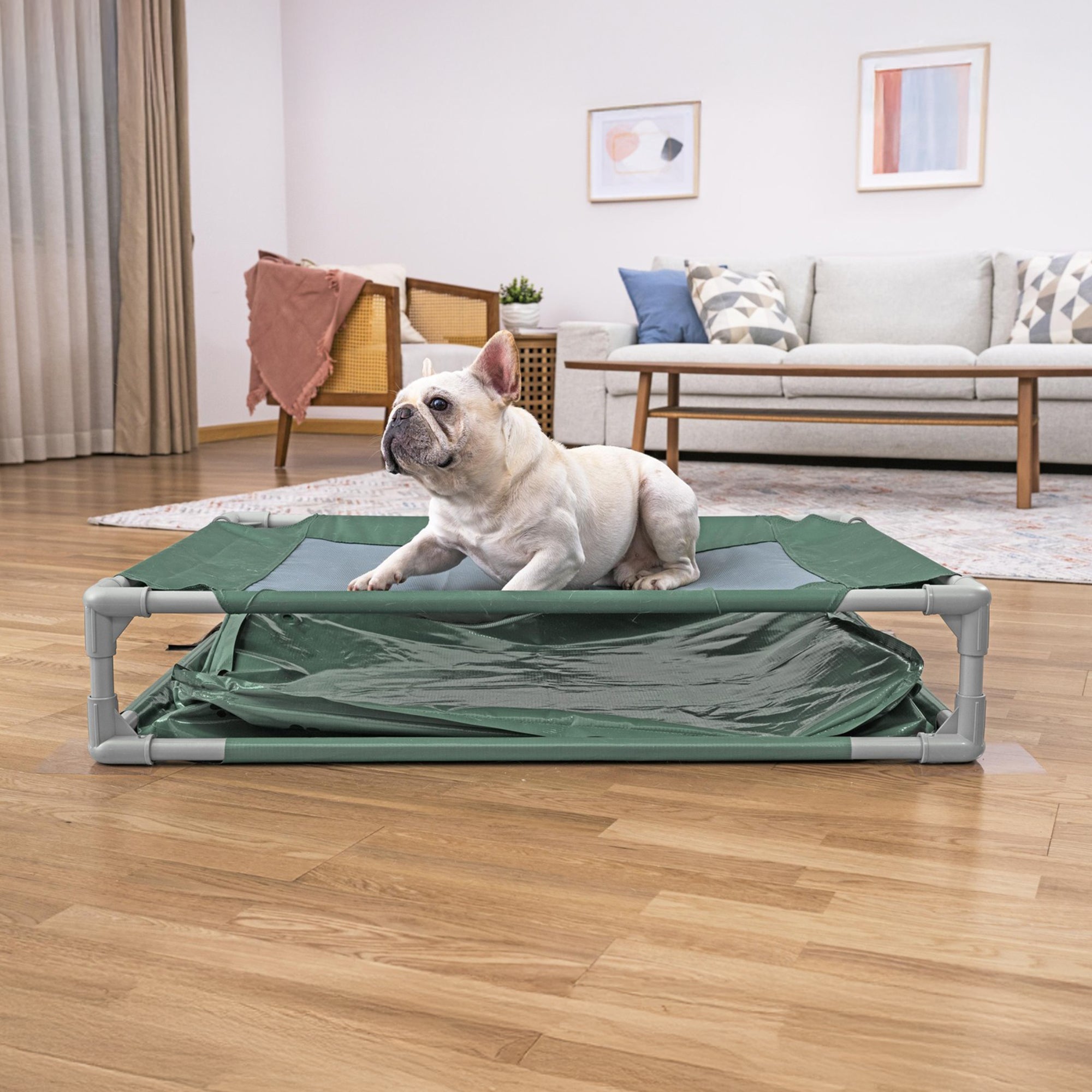 H2OGO! Pet Play Pool & Elevated Bed, Fetchin' Fun Splash Pool & Bed for Dogs