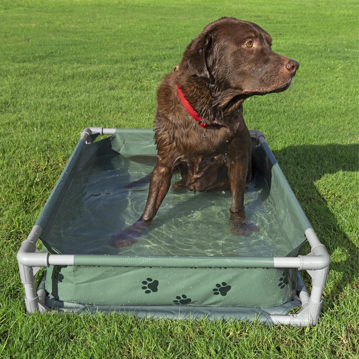 H2OGO! Pet Play Pool & Elevated Bed, Fetchin' Fun Splash Pool & Bed (Open Box) - VMInnovations