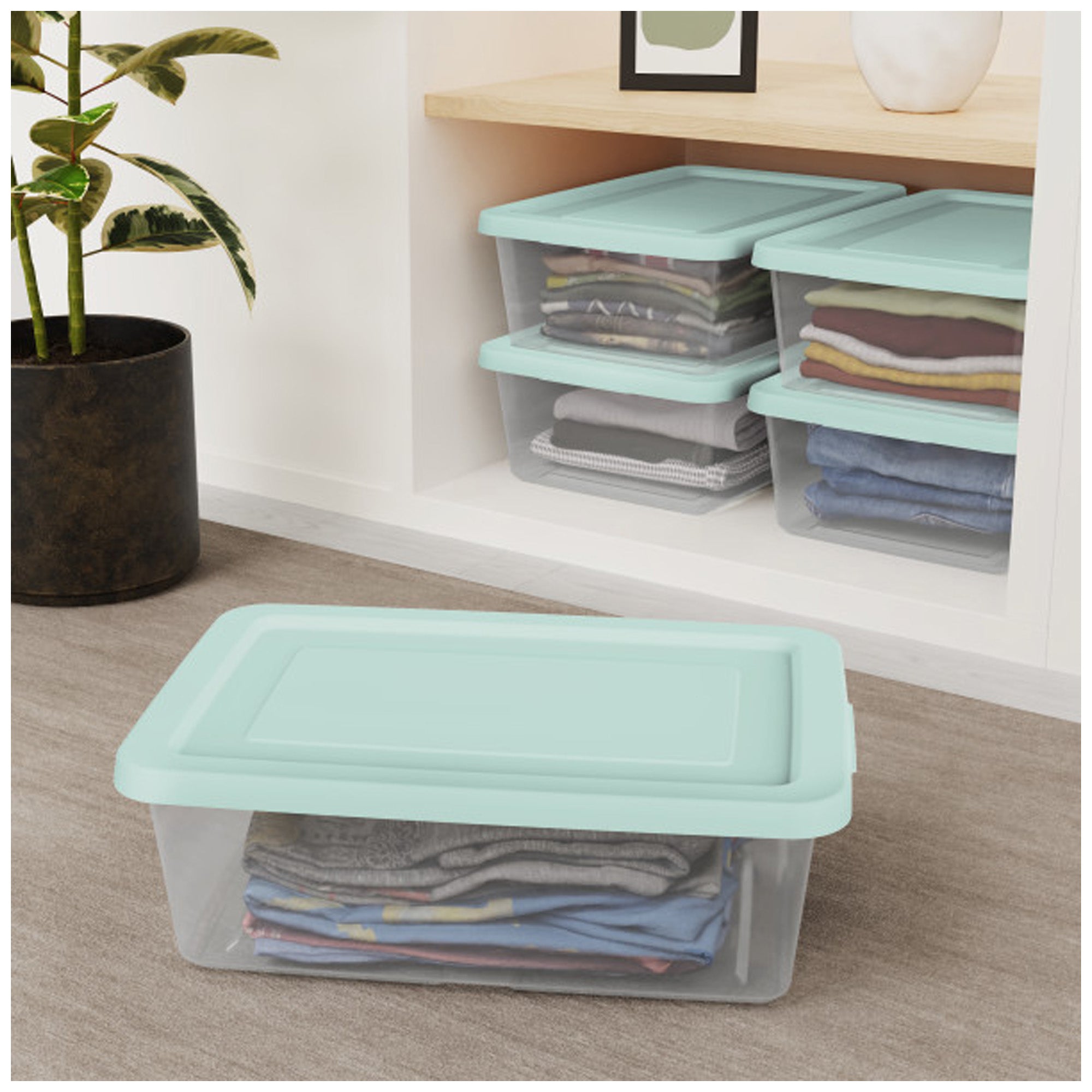 Sterilite 12Qt Storage Boxes, Clear Plastic Containers with Lid, Set of 36, Mint
