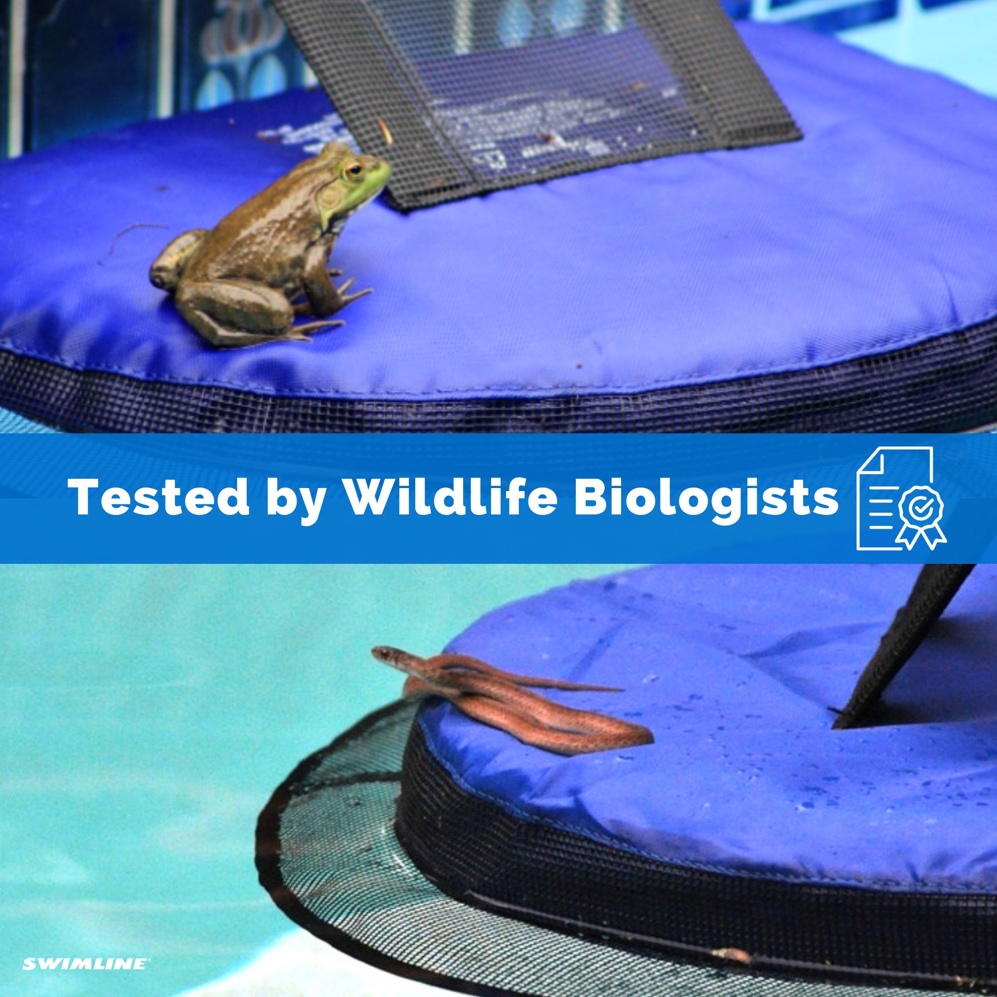 Swimline HydroTools 7020 FrogLog Critter Saving Escape Ramp for Swimming Pools - VMInnovations