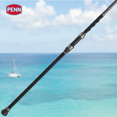 Penn Carnage III Surf Conventional Spinning Fishing Rod 9’, up 30 Lbs,(Open Box) - VMInnovations