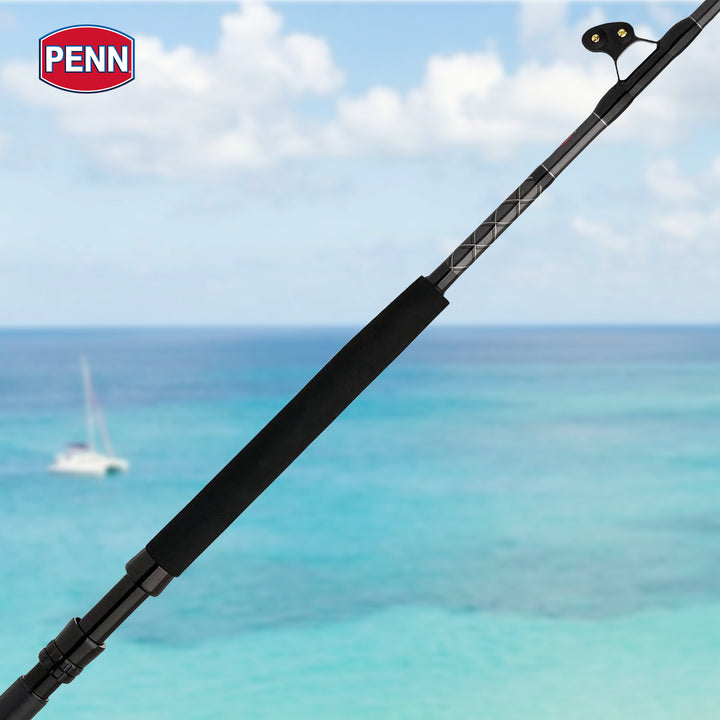 Penn Ally II Boat Conventional Casting Fishing Rod 6 Feet, up to 80 Lbs, Black - VMInnovations
