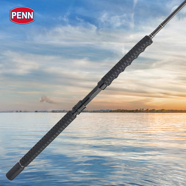 Penn Carnage III Boat Conventional Casting Fishing Rod 7’, up to 80 Lbs, Black - VMInnovations