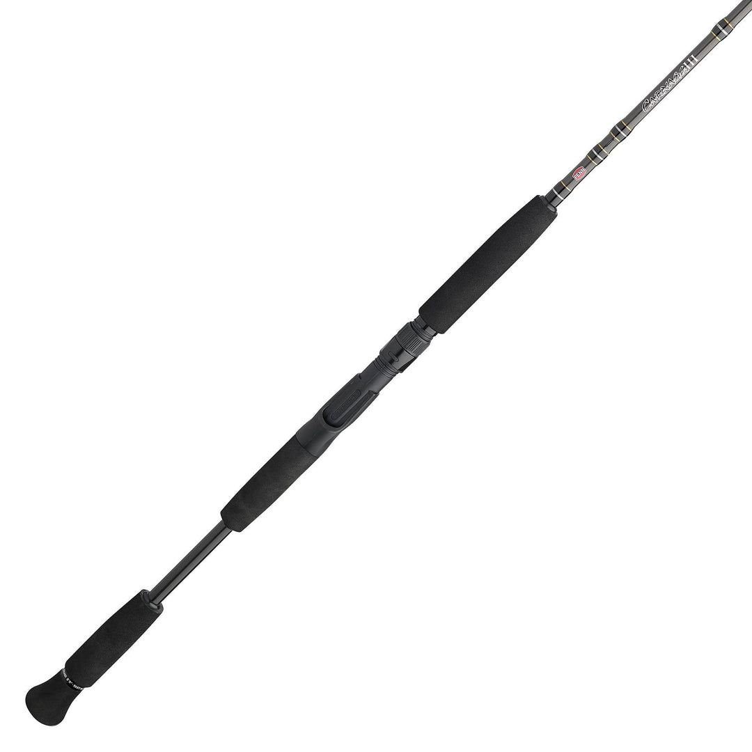 Penn Carnage III Inshore Casting Fishing Rod, 7 Feet, Loads up to 20 Lbs, Black