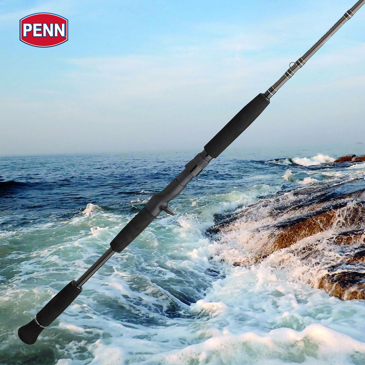 Penn Carnage III Inshore Casting Fishing Rod, 7 Feet, Loads up to 15 Lbs, Black - VMInnovations