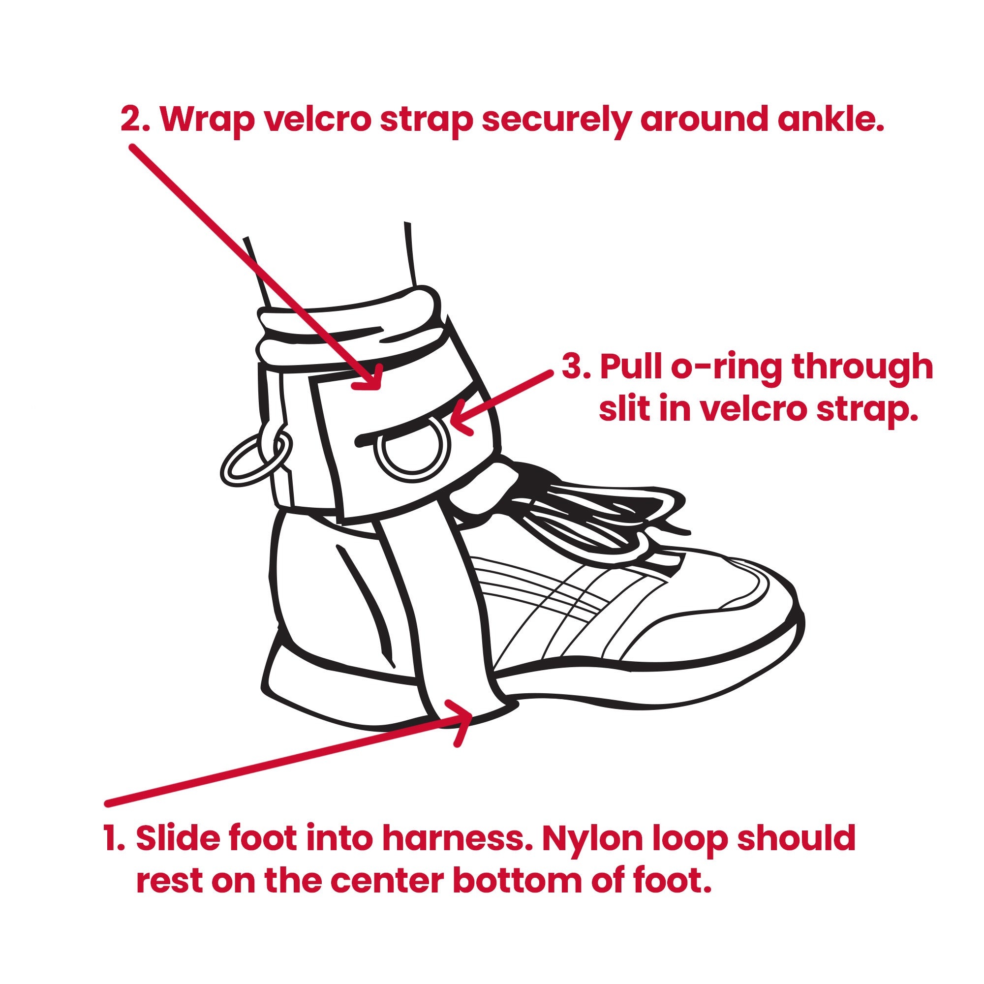 Total Gym Ankle Cuff Workout Accessory, Lower Body Strength Training, Set of 2 - VMInnovations