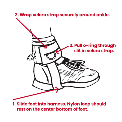 Total Gym Ankle Cuff Workout Accessory, Lower Body Strength Training, Set of 2 - VMInnovations