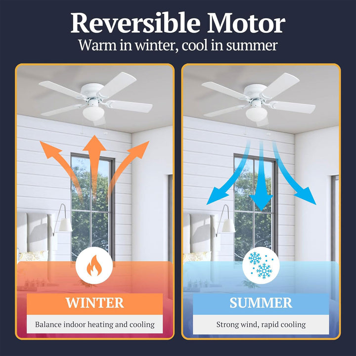 Prominence Home Alvina Traditional 42” Flush Mount Ceiling Fan with Light, White