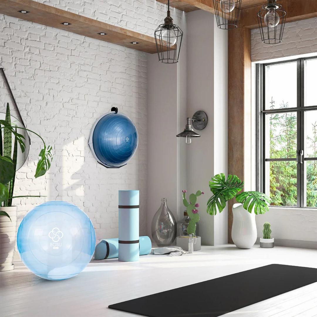 BOSU Sport Travel Size Balance Trainer 20 Inch Stability Ball Balance Board