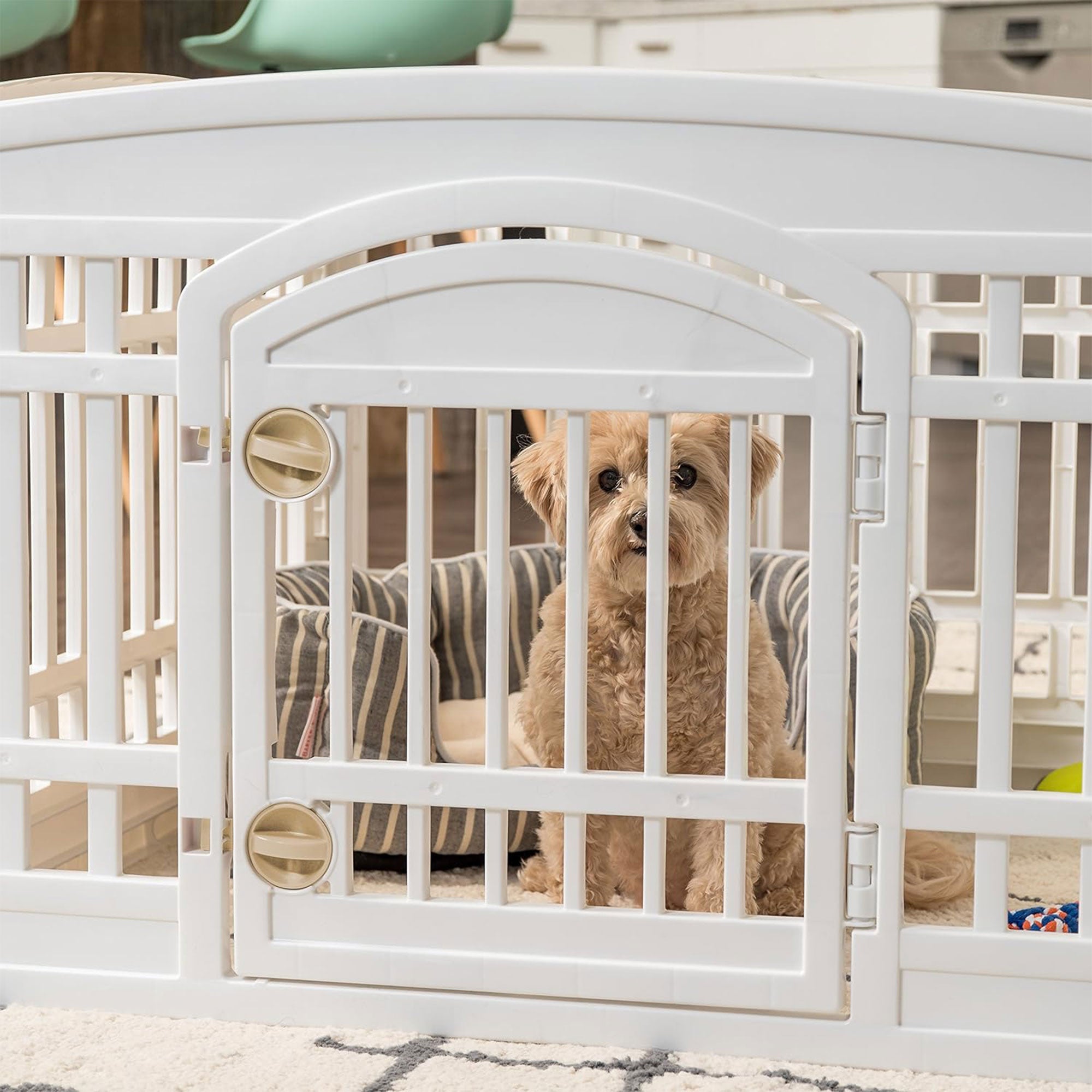 IRIS USA 24" Dog Playpen with Door, 4-Panel Pet Enclosure for Small Dogs (Used)