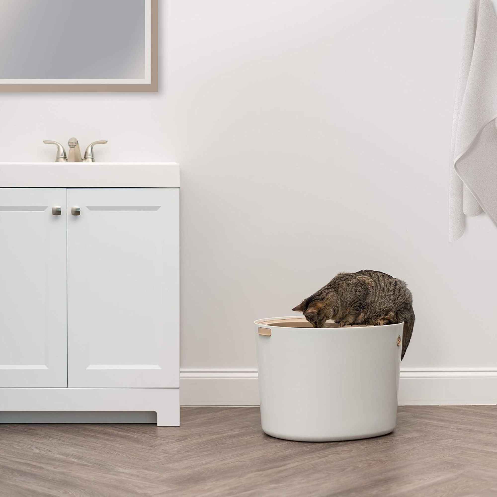IRIS USA Cat Litter Box, Large Top Entry with Catching Lid & Scoop, (Used) - VMInnovations