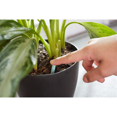 Miracle-Gro 24 Pack Indoor Plant Food Spikes, Continuous Feeding for Houseplants