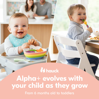 hauck Alpha+ Adjustable Booster High Chair and High Chair Tray Table, Grey - VMInnovations