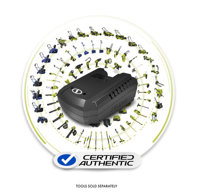 Snow Joe Dual-Port Quick Charger for 24V Lithium-Ion Batteries for Sun Joe Tools