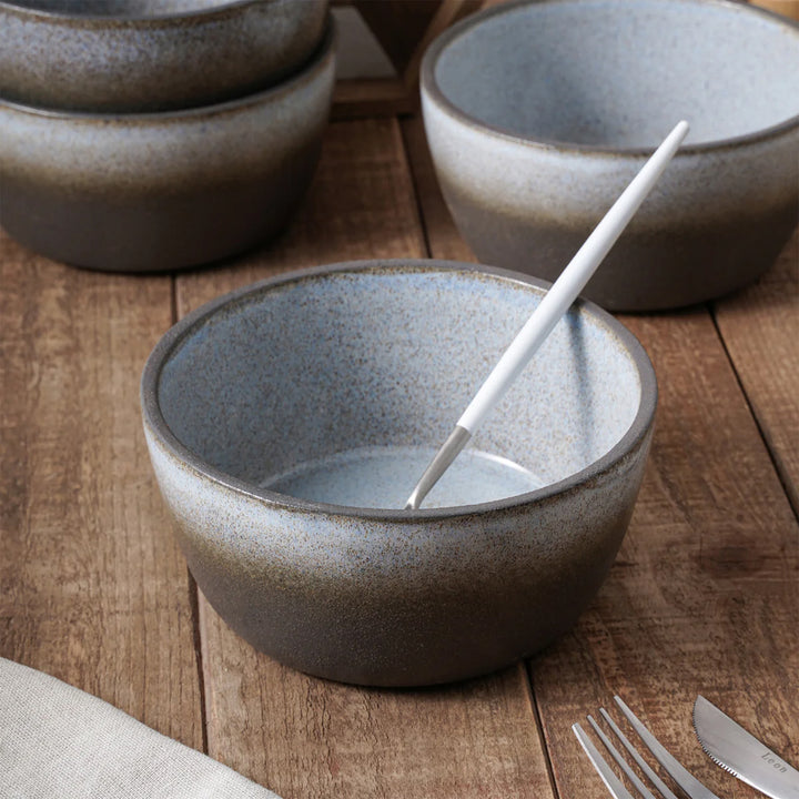 Stone Lain Vince 4 Piece Stoneware Bowl Set for Soups or Salads, Grey and White