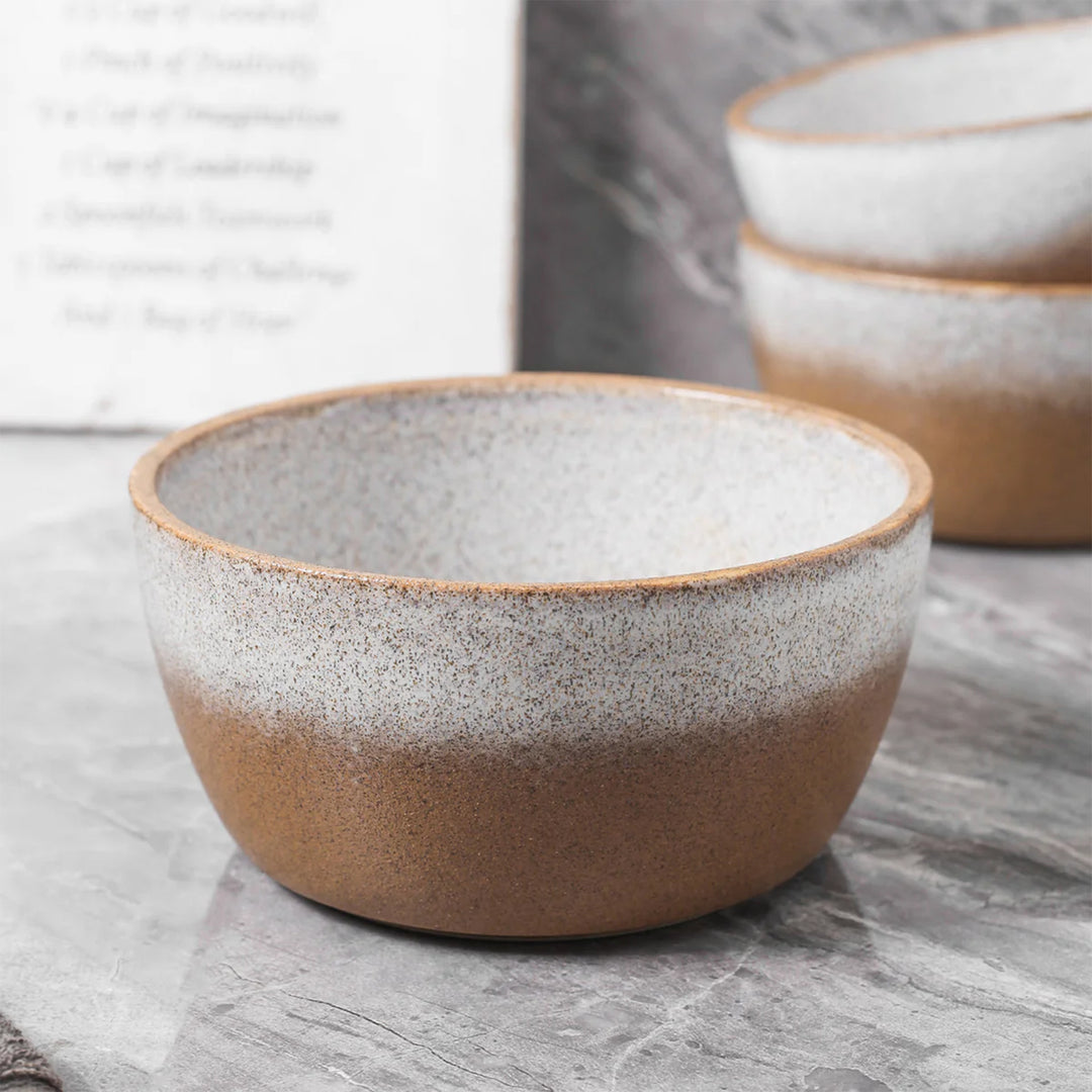Stone Lain Vince 4 Piece Stoneware Bowl Set for Soups or Salads, Brown and White