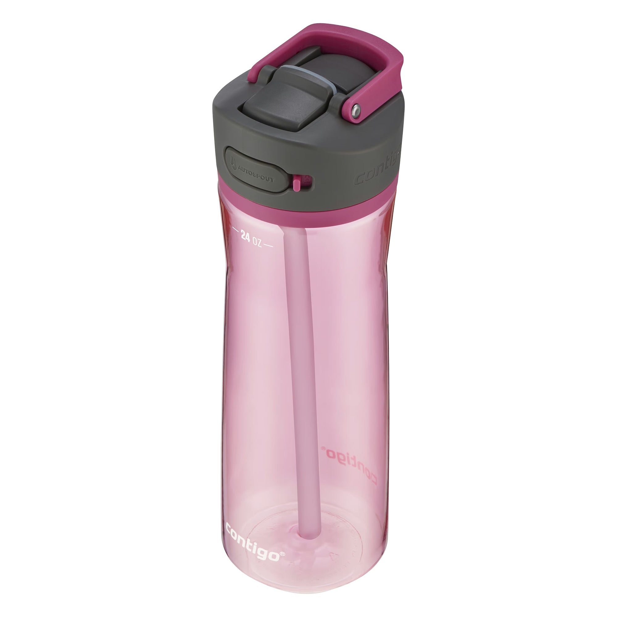 Contigo Ashland 2.0 Water Bottle with AUTOSPOUT Lid, 24 Ounces, Dragon Fruit - VMInnovations