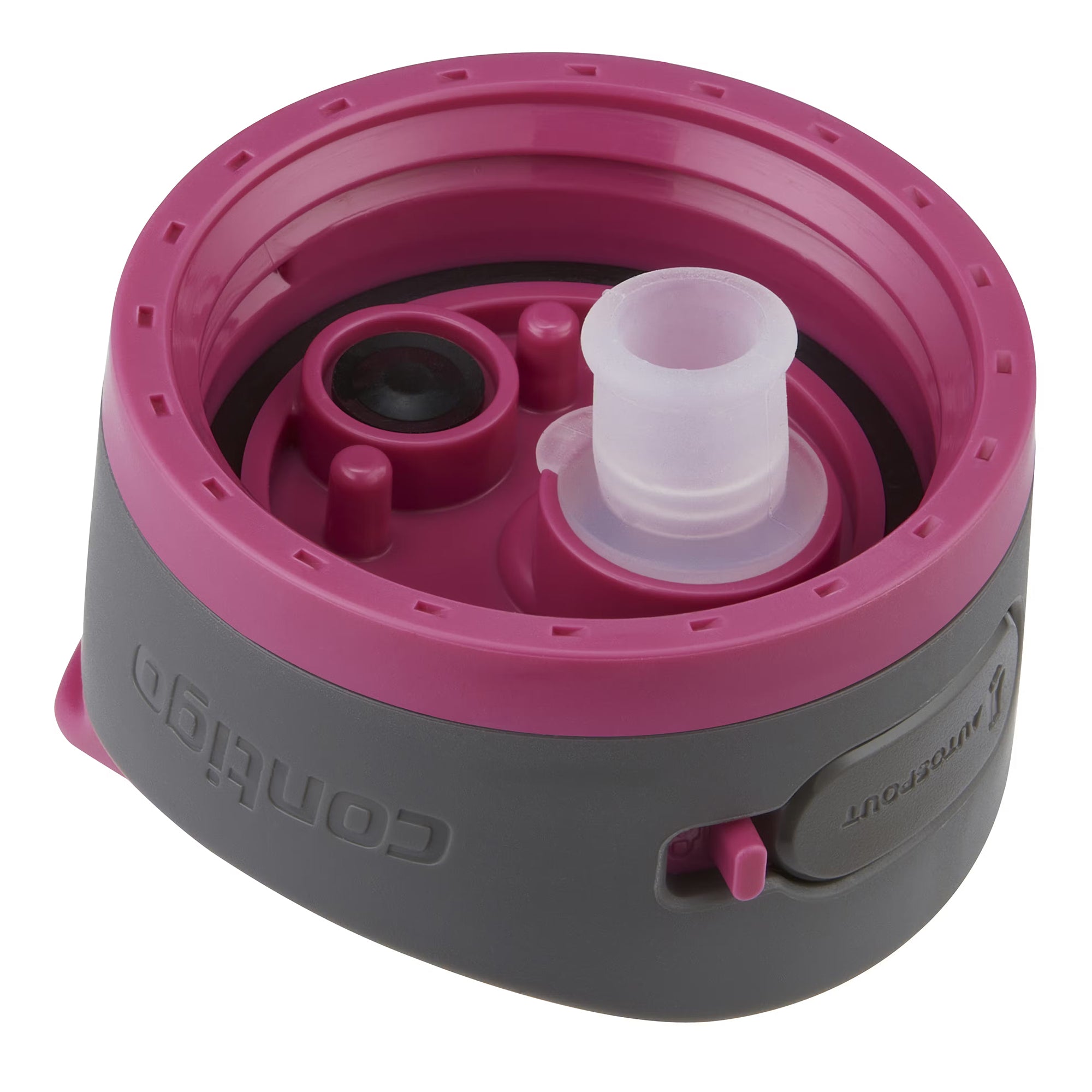 Contigo Ashland 2.0 Water Bottle with AUTOSPOUT Lid, 24 Ounces, Dragon Fruit - VMInnovations