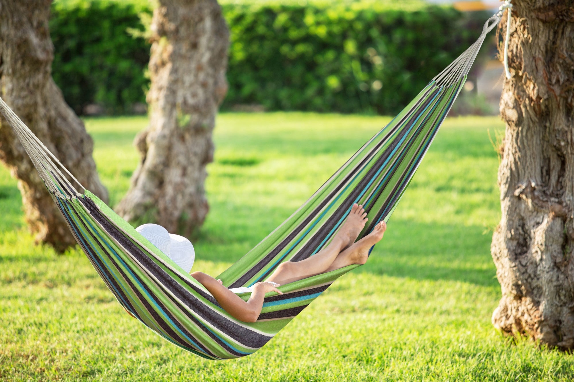 Bliss Hammocks Double Hammock w/ Rope Loops & Tree Straps, 265 lb, Mediterranean