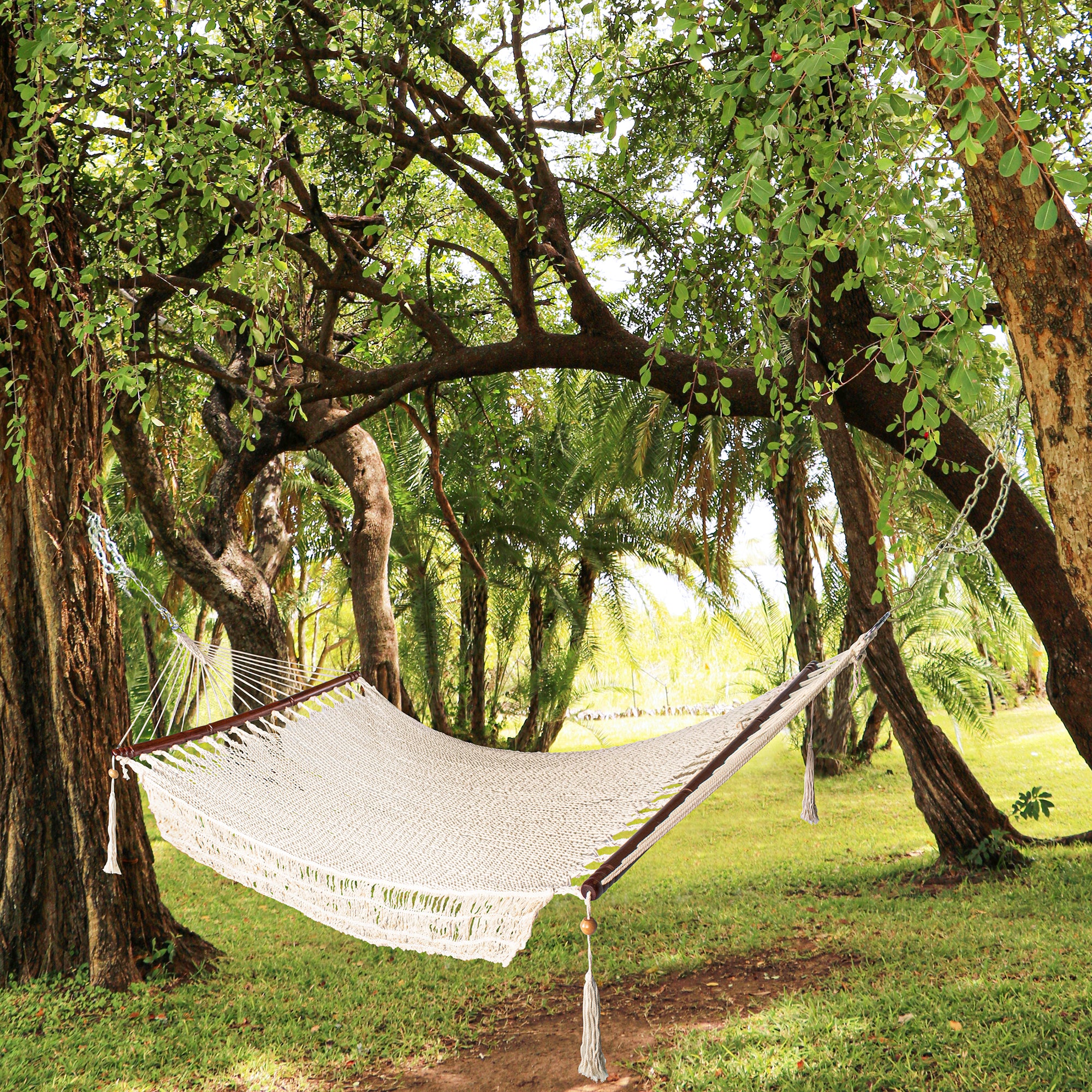 Bliss Hammocks 1-Person Cotton Rope Hammock w/Spreader Bar, 78x48 (Open Box) - VMInnovations