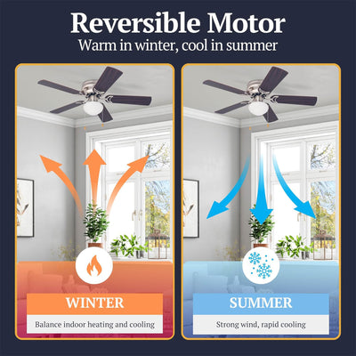 Prominence Home Alvina 42" Flush Mount Ceiling Fan with Light, (Open Box) - VMInnovations