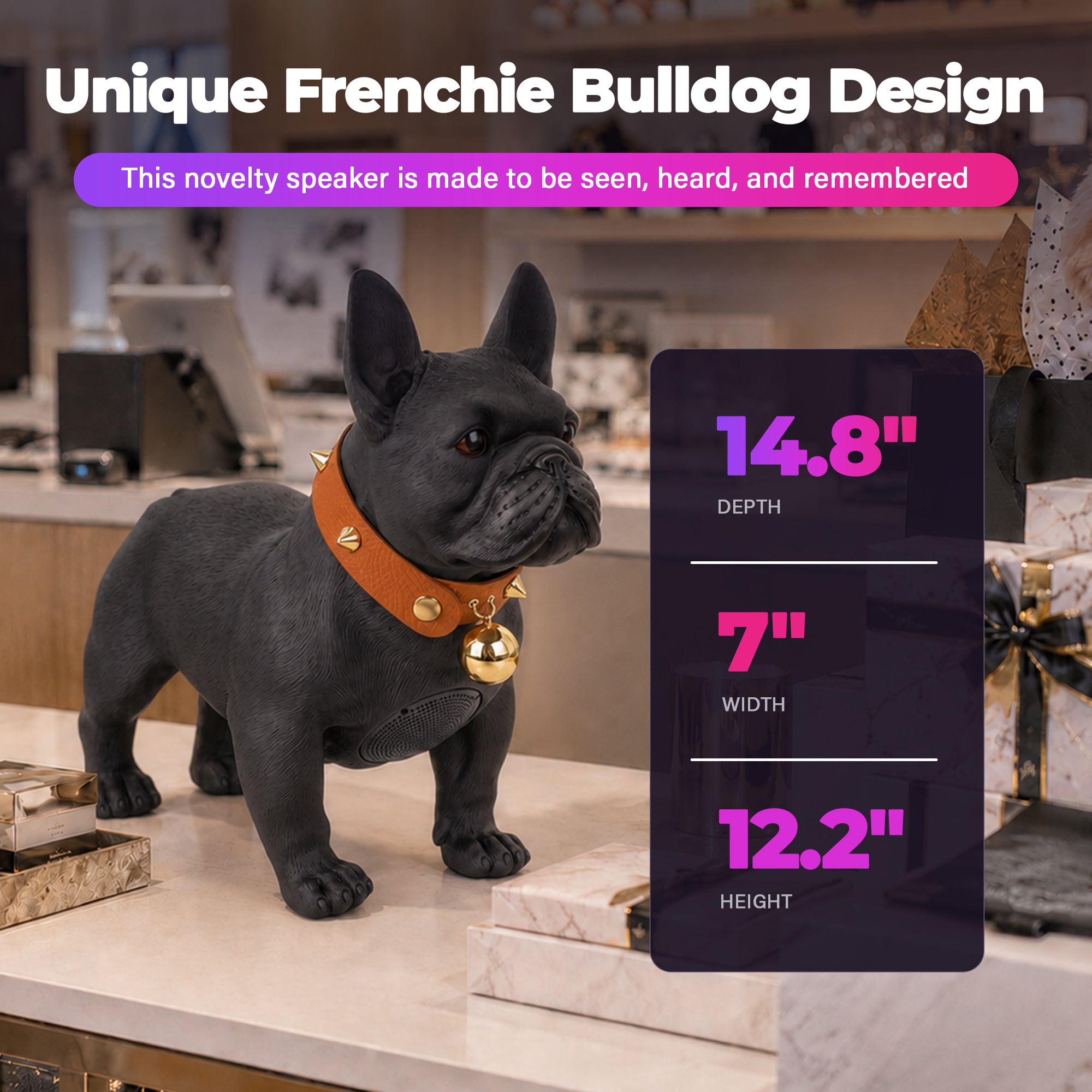 Max Power Bulldog Style Rechargeable Bluetooth Speaker with FM Radio, Black - VMInnovations