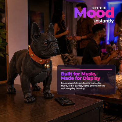 Max Power Bulldog Style Rechargeable Bluetooth Speaker with FM Radio, Black - VMInnovations