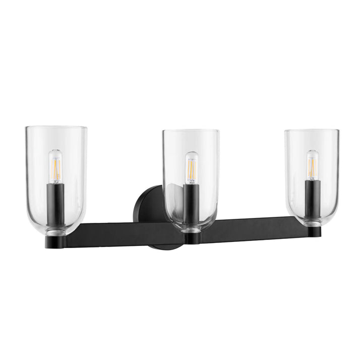 Prominence Home Hansley 3 Light Vanity Light, Damp Rated with Clear Glass, Black - VMInnovations
