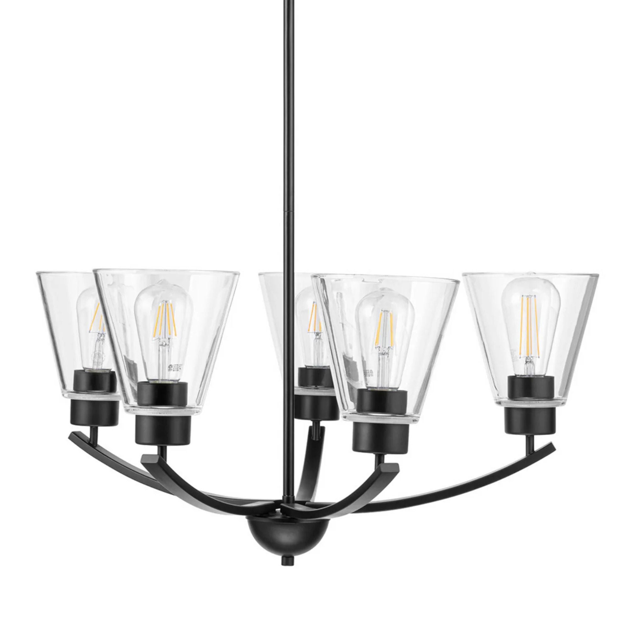 Prominence Home Fairendale 5-Light Chandelier with Clear Glass, Matte Black - VMInnovations