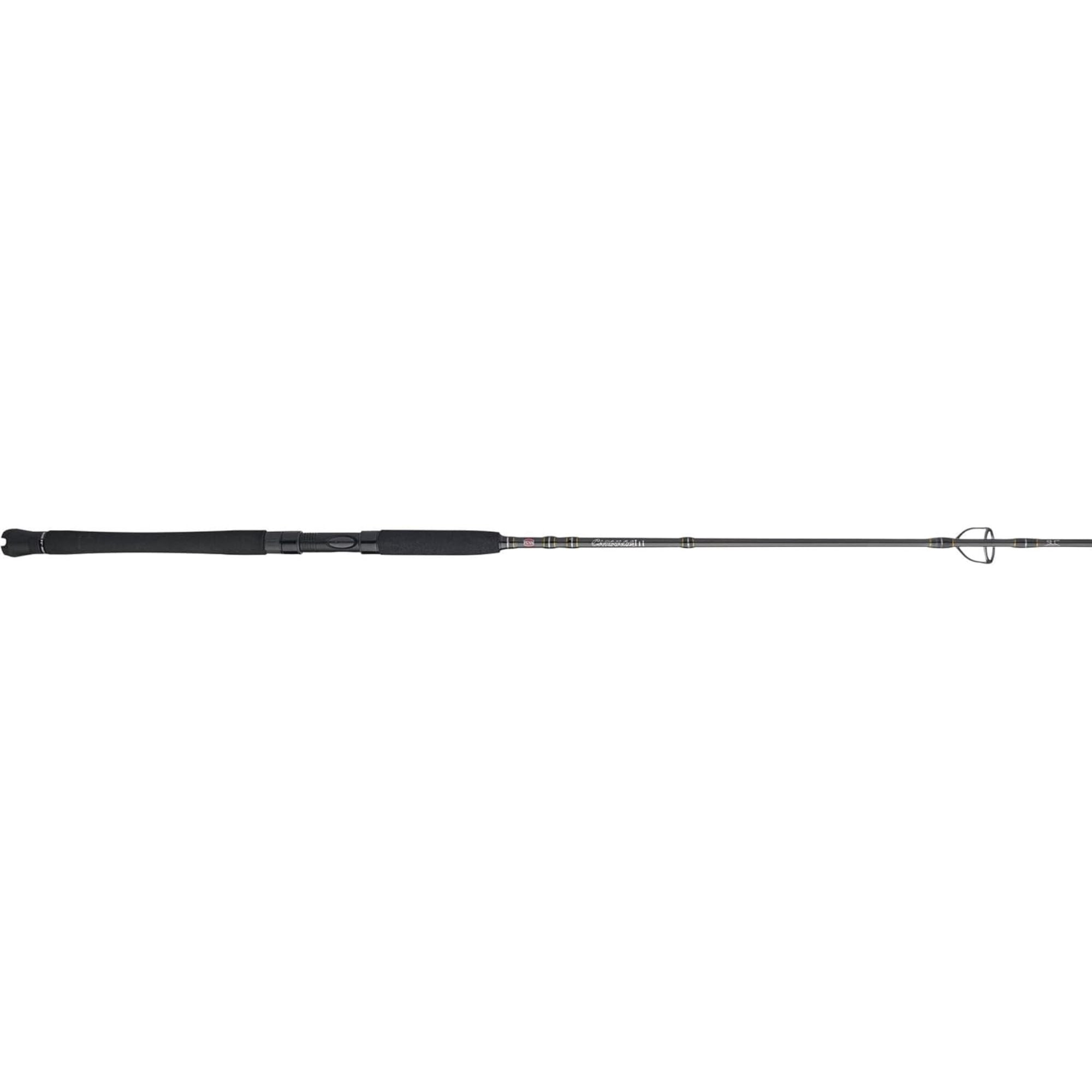 PENN Carnage III Inshore Spinning Rod, 7' Fishing Pole, Medium Power (Open Box)