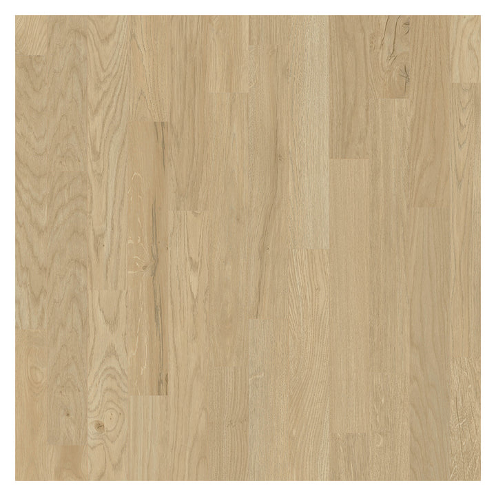 Nature's Mark Vinyl Flooring, Modern Hardwood, 22.16 sq. ft. per Carton, Madison - VMInnovations